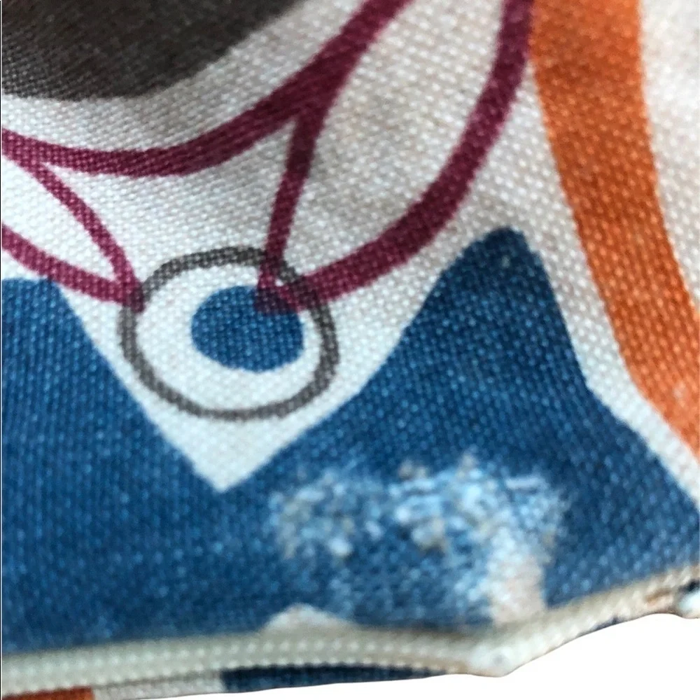 Crate & Barrel Square Printed Pillow Cover 23X23 Teal, Pumpkin Oatmeal Decorate